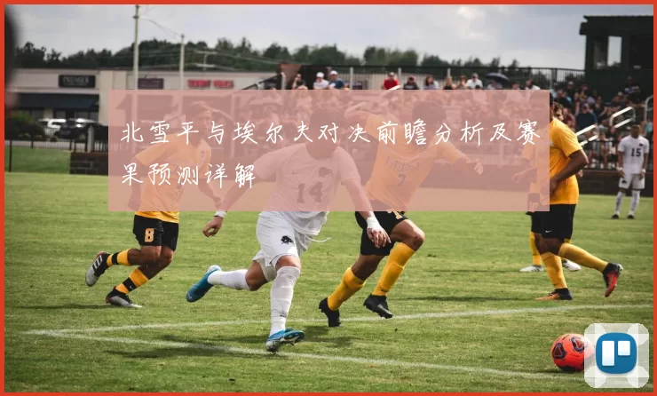 北雪平与埃尔夫对决前瞻分析及赛果预测详解