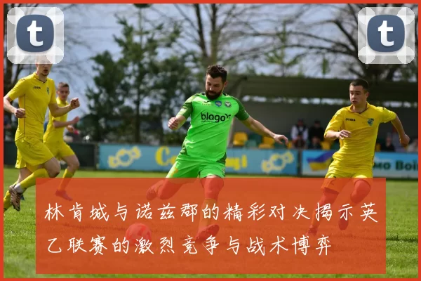 林肯城与诺兹郡的精彩对决揭示英乙联赛的激烈竞争与战术博弈