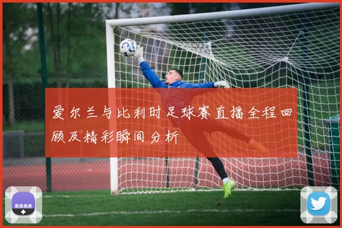爱尔兰与比利时足球赛直播全程回顾及精彩瞬间分析