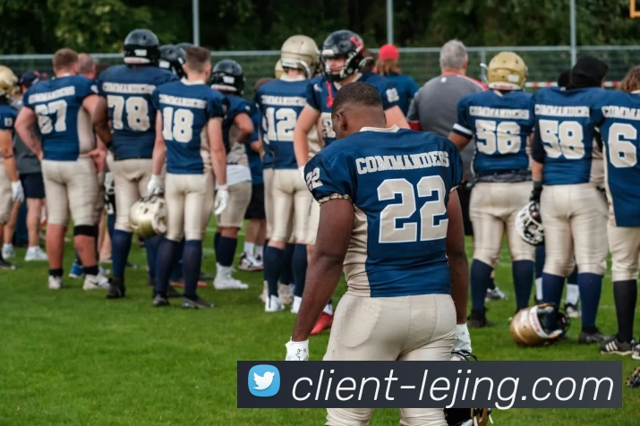 App Interface Preview